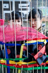 From the Jungle_0069